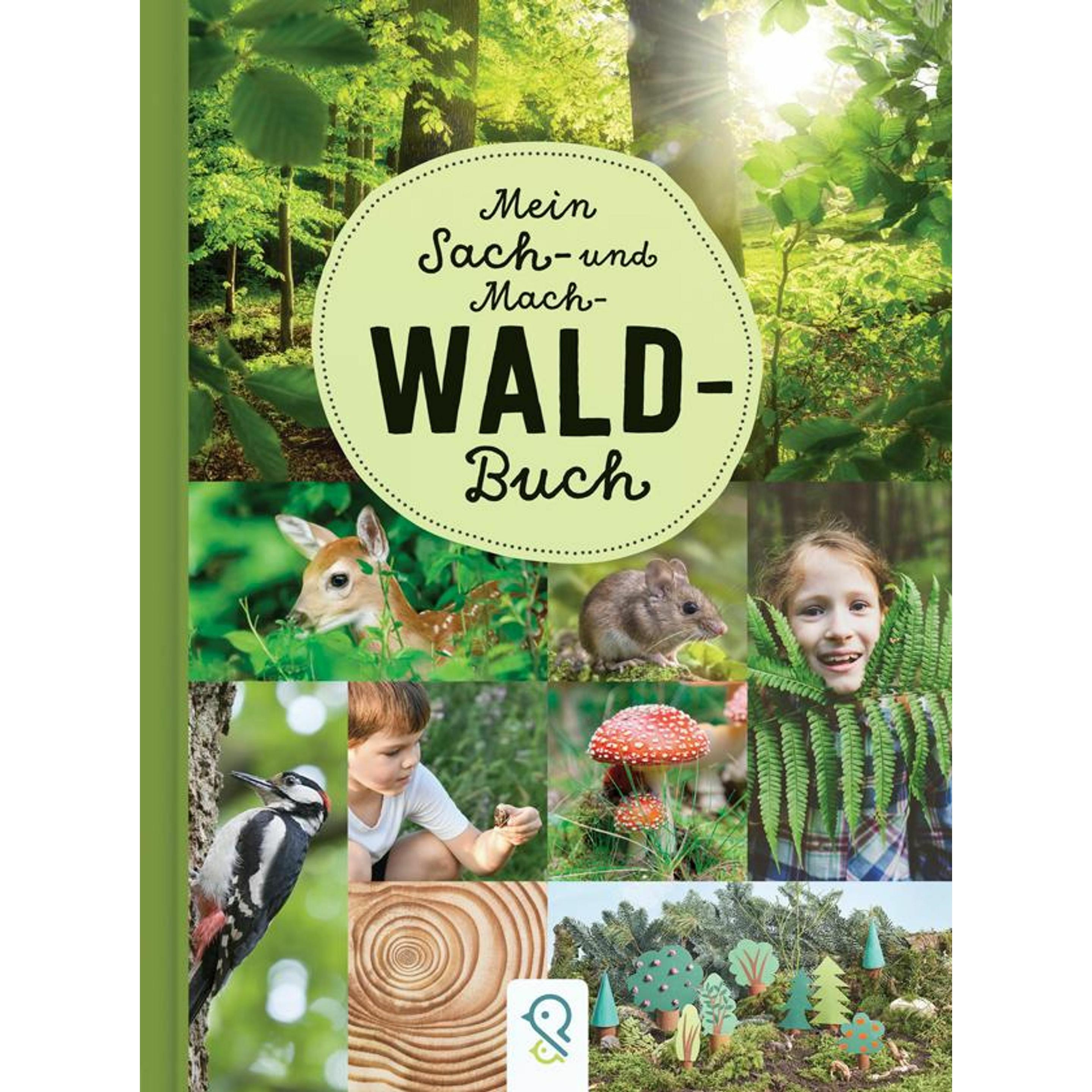 Mein Sach- und Mach-Wald-Buch, Kinderbücher von Hannah, Kastenhuber