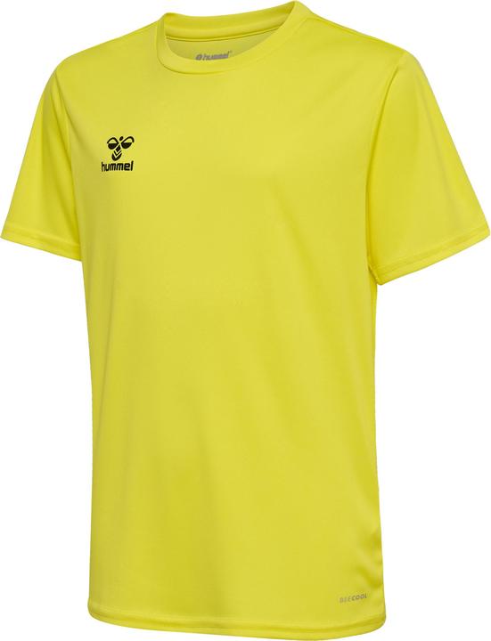 Blazing Yellow