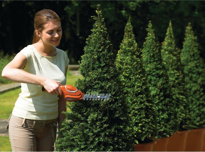 Actual product image Black & Decker Shrub and grass shears (Cordless hedgecutters)