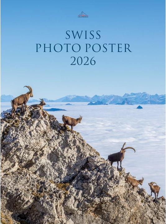 Image du produit Swiss Photo Poster 2026 (50 x 68 cm, Allemand)