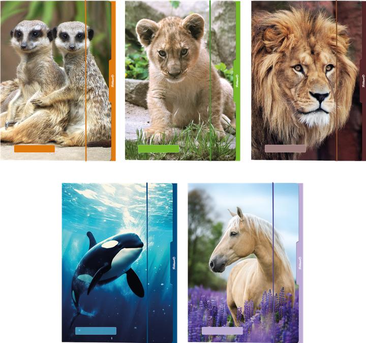 Actual product image Pelikan Folder (A3, 1 x)