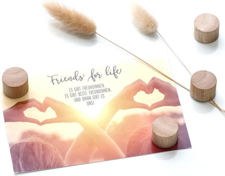 Produktbild Zeller Present Magnet (4 x)