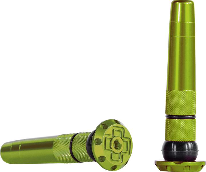 Vert