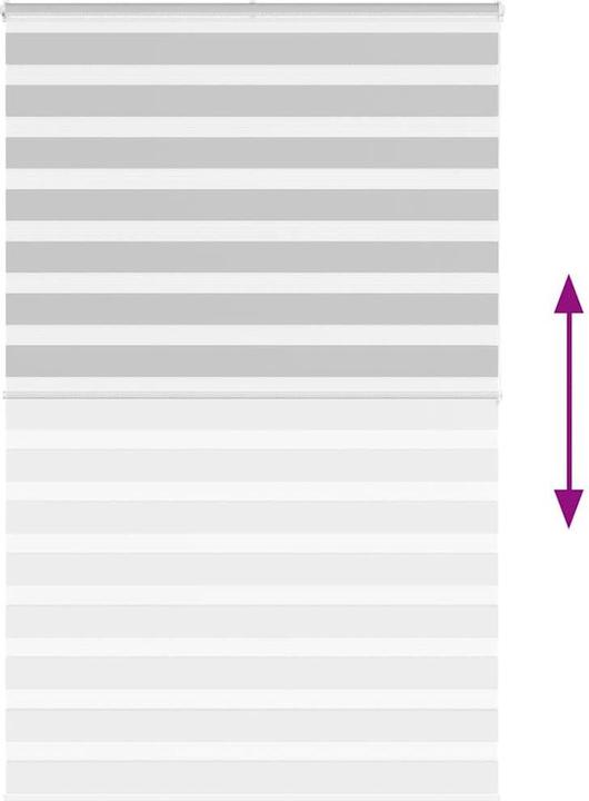 Produktbild vidaXL Zebra-Jalousie (140 x 200 cm)