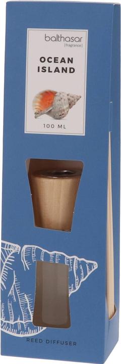 Actual product image Balthasar Raumduft (100 ml)