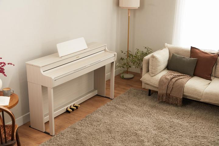 Immagine prodotto Casio Celviano AP-300 GB (88 Chiavi)