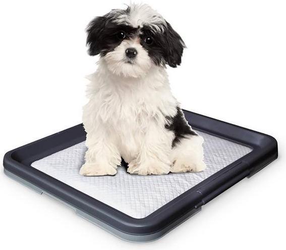 Produktbild Nobby Training Pads (Hund)