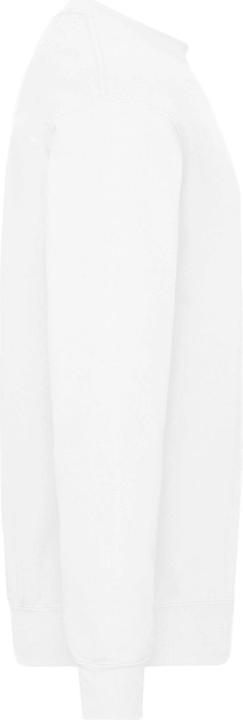 Image du produit Fruit of the Loom - Sweat CLASSIC - Homme (3XL)