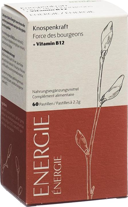 Heidak Knospenkraft Pastillen Energie (60 pièce(s), Pastilles, 287 g)