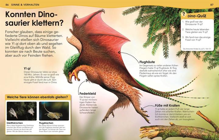 Produktbild Weshalb? Deshalb! Dinos (Deutsch, Nicholas St Fleur, 2020)