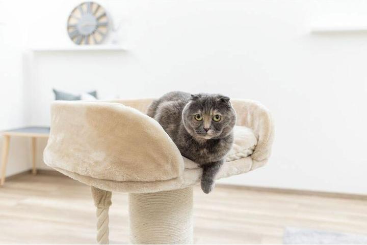 Actual product image Kerbl Scratching post Toni XL, 58x58x92 cm (92 cm, Beige, White)