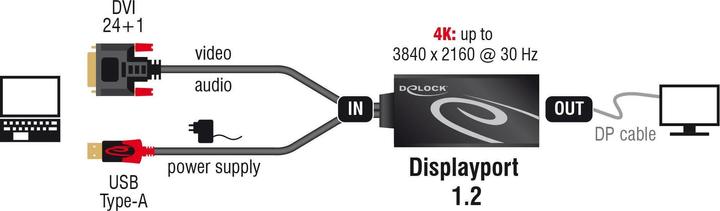 Productafbeelding Delock DVI naar (DP, 13.50 cm)