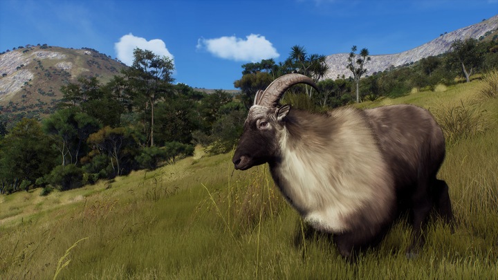 Image du produit THQ Way of the Hunter - Expéditions sauvages (Xbox Series X, EN)