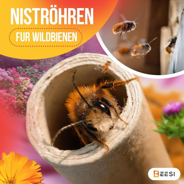 Actual product image Beesi Nisthülsen (Wild bees)