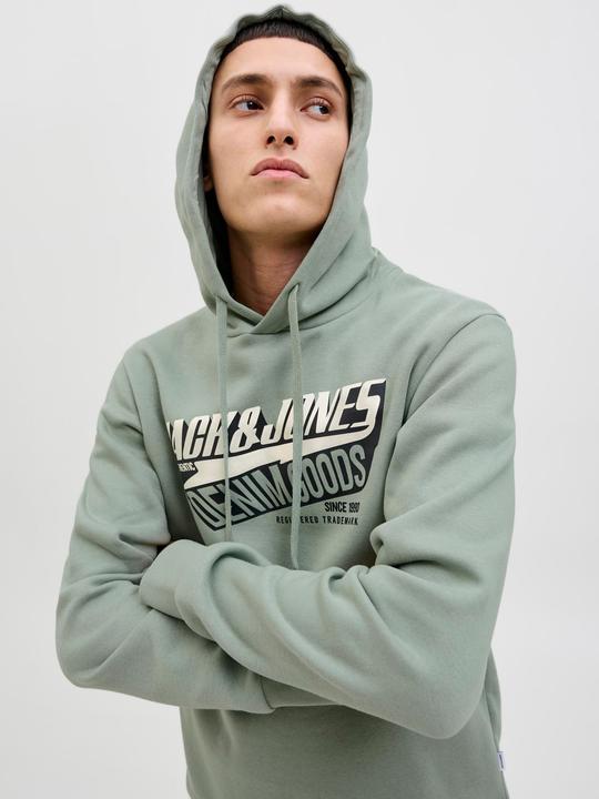 Actual product image Jack & Jones JJELOGO SWEAT HOOD 2 COL 25/26 NOOS (XXL)