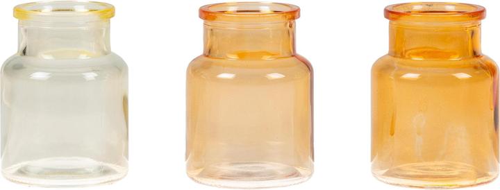 Immagine prodotto Sandra Rich BOTTIGLIA 3 pezzi in scatola PET bilanciata (3 x, 6,5 x 5,5 x 17 cm, 0.61 l)