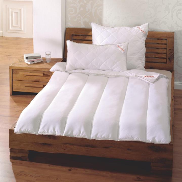 Lipo Meilleur Prix (1000 g, Polyester, 210 x 160 cm)