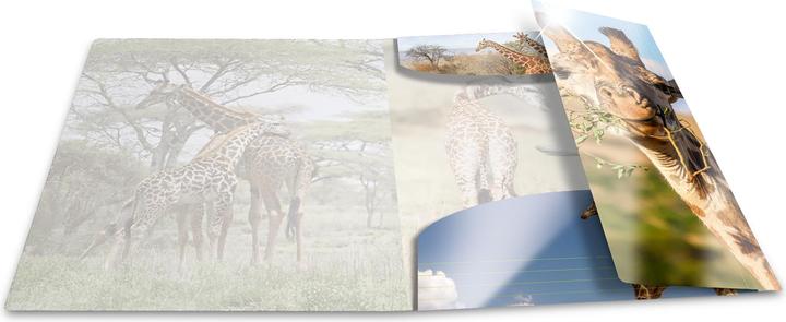 Image du produit HERMA Porte-documents A3 Motif (A3, 1x)