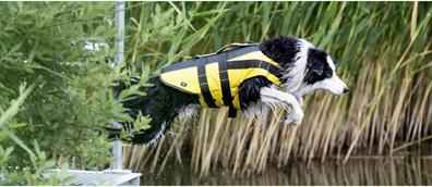 Actual product image Trixie Life jacket (XL, Dog life jacket)
