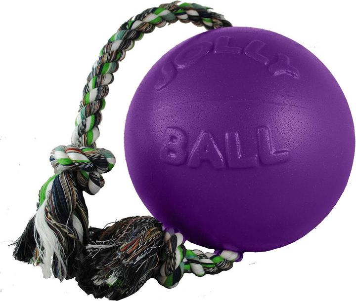 Jolly Pets Romp-N-Roll Palla per Cani (Palla giocattolo per cani)