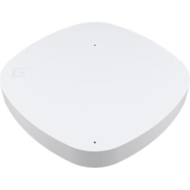Extreme Networks (Ap4020-Ww) (2882 Mbit/S), Access Point