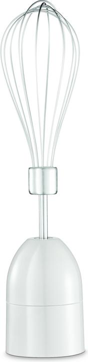 Actual product image Zelmer ZHB4563S Pulsar Premium