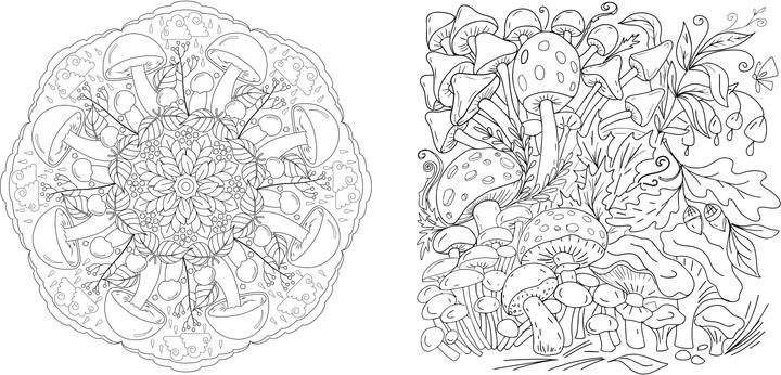 Produktbild Faszinierende Pilze