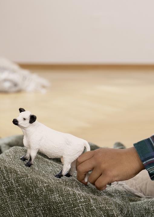 Produktbild Schleich Galloway Kuh