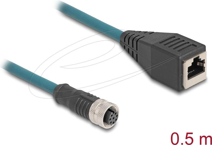 Produktbild Delock M12 Adapterkabel A-kodiert 8 Pin Buchse zu RJ45 Buchse 50 cm (CAT6a, 0.50 m)