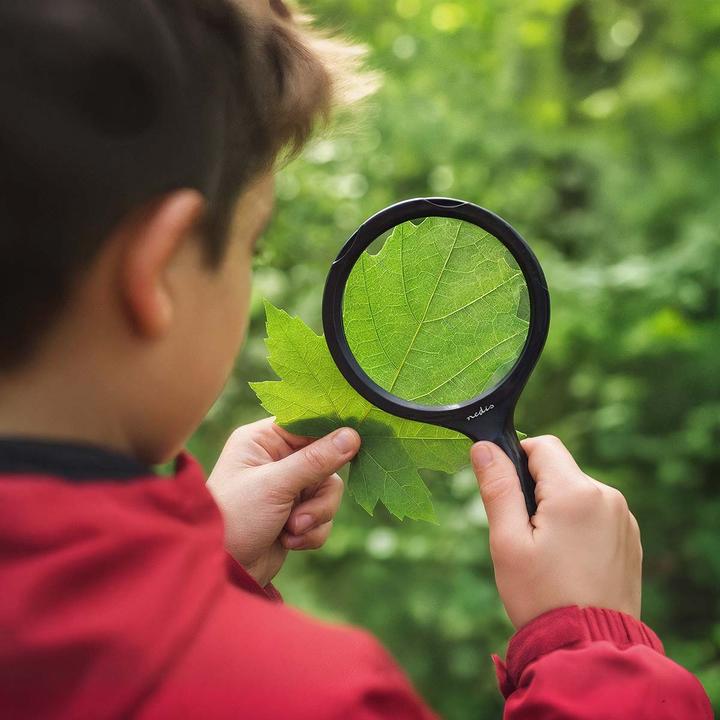 Actual product image Nedis Handlupen | Linsenstärke: 4 Diopter | 10000 K | 0.05 W | 9 lm | Schwarz