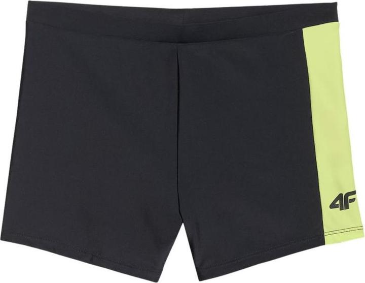 Image du produit 4F Herren-Badeshorts (S)