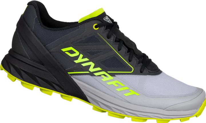 Produktbild Dynafit Alpine Laufschuh (47)