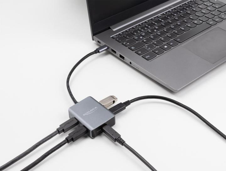 Produktbild Delock 64249 (USB-C, 4 Ports)