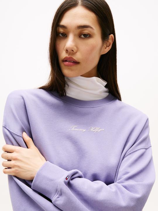 Produktbild Tommy Hilfiger Klassisches Skript-Terry-Crewneck-Sweatshirt (3XL)