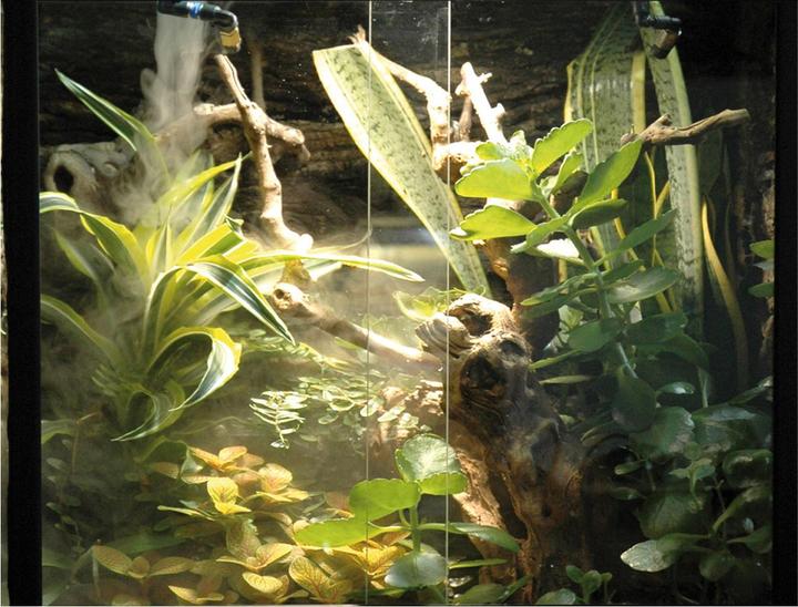 Produktbild Lucky Reptile Super Fog II (33 W)