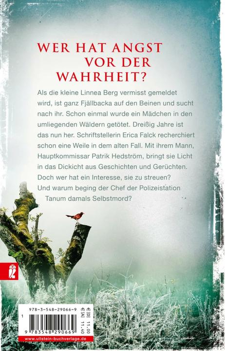 Produktbild Die Eishexe (Deutsch, Camilla Läckberg, 2018)