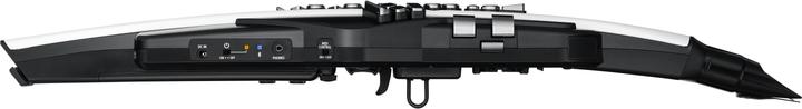 Image du produit Roland AE-20 Instrument à vent numérique