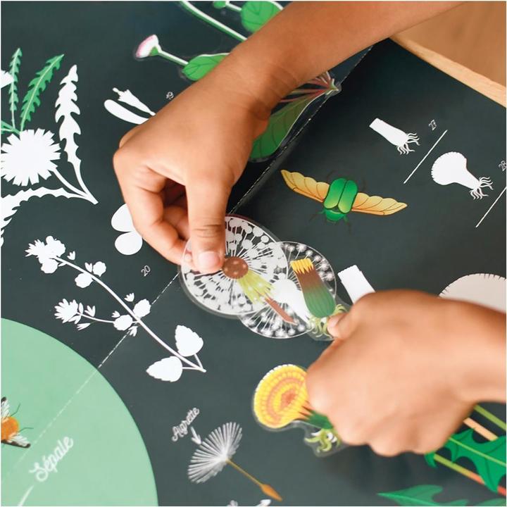 Actual product image Poppik Sticker Learning Poster Botany (72 Sticker)