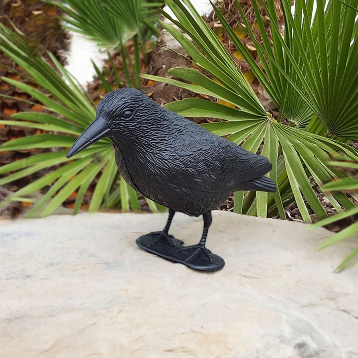 Image du produit Lifetime Pigeon scarer crow PL