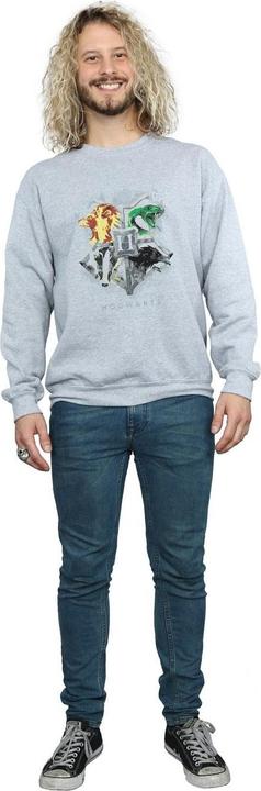 Immagine prodotto Hogwarts Painted Crest Felpa Uomo (XL)