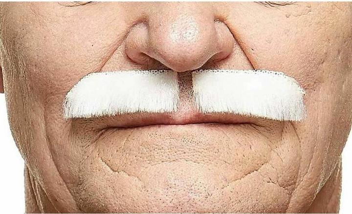 Produktbild My Other Me Schnurrbart