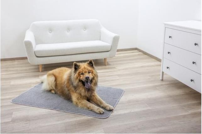 Produktbild Kerbl Thermoteppich (Hund)