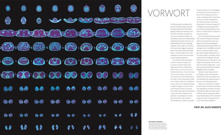 Produktbild Anatomie und Physiologie (Deutsch, Alice Roberts, Andreas Held, Simone Blass, Nikola Schmidt, 2023)