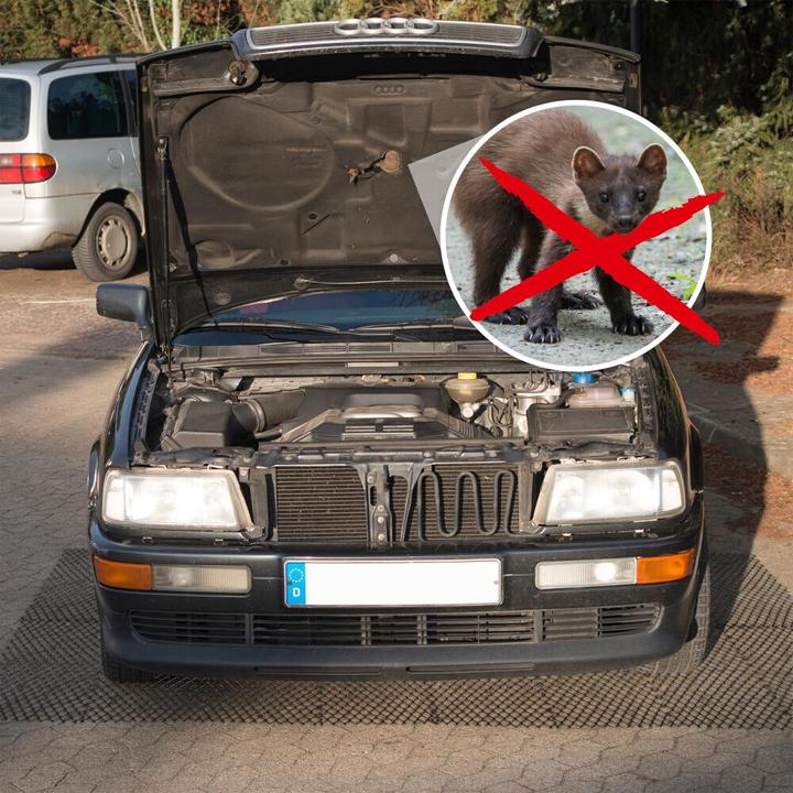Image du produit Gardigo deterrent mat Défense contre les fouines Type de fonction Dissuasion 1 pc.