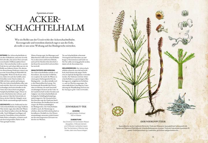 Produktbild Die Natur-Apotheke (Deutsch, Miriam Wiegele, 2018)