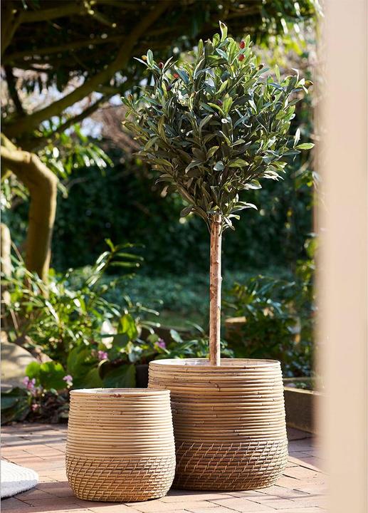 Produktbild House Nordic Moro Körbe Preis für 1 Stück (1 x)