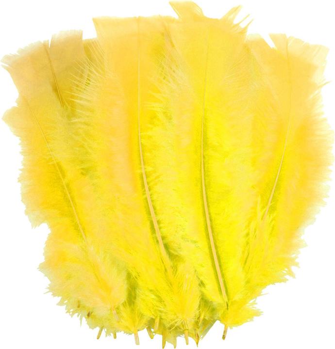 Produktbild Natura Punto Dekofedern, 5er-Set mit jeweils 35 Federn, Bunt