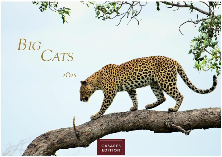 Actual product image Big Cats 2026 L 35x50cm (35 x 50 cm)
