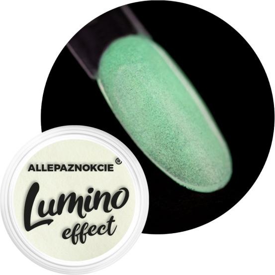 Actual product image Molly Lac Nail Art Lumino Effect (Colour paint)