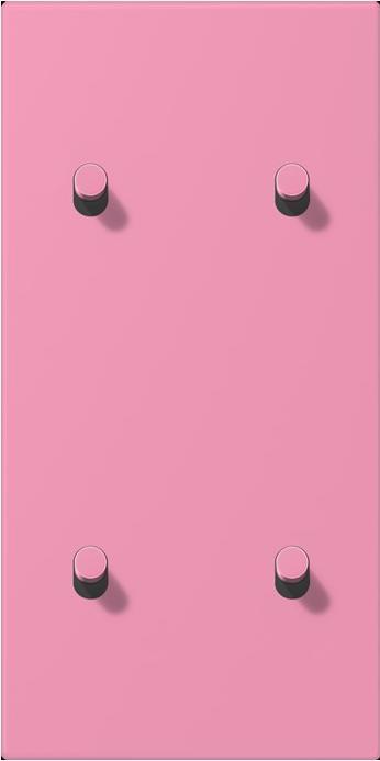 Actual product image JUNG Cover with toggle lever